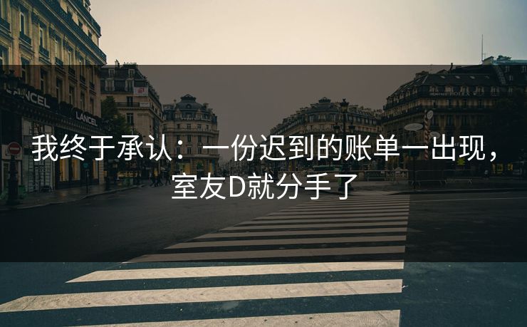 我终于承认：一份迟到的账单一出现，室友D就分手了