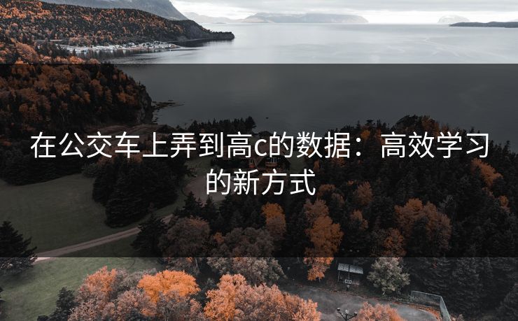 在公交车上弄到高c的数据:高效学习的新方式 在公交车上弄到高c的数据:高效学习的新方式