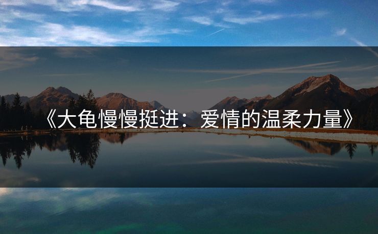 《大龟慢慢挺进：爱情的温柔力量》