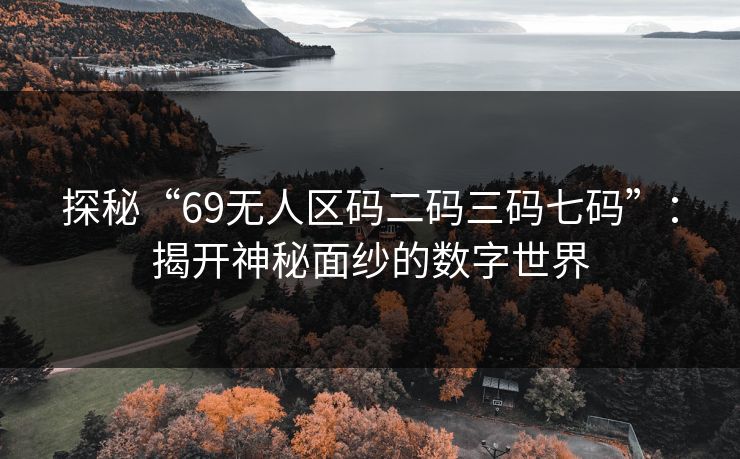探秘“69无人区码二码三码七码”：揭开神秘面纱的数字世界