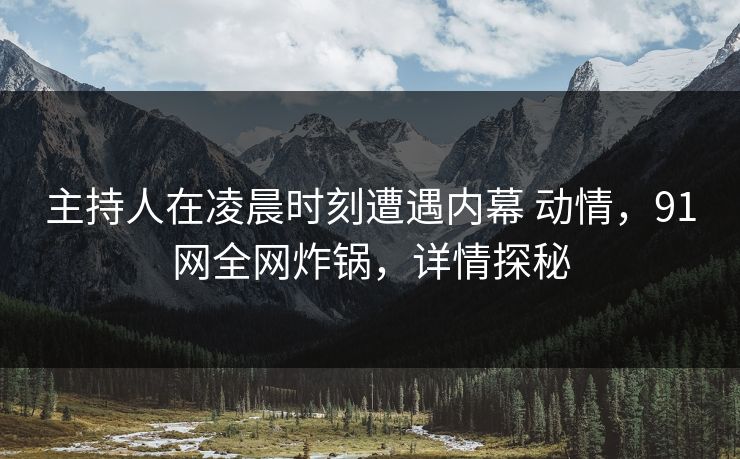 主持人在凌晨时刻遭遇内幕 动情，91网全网炸锅，详情探秘